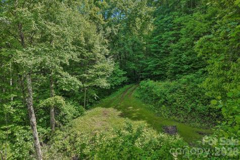 105 Dotsu Trail Maggie Valley NC 28751