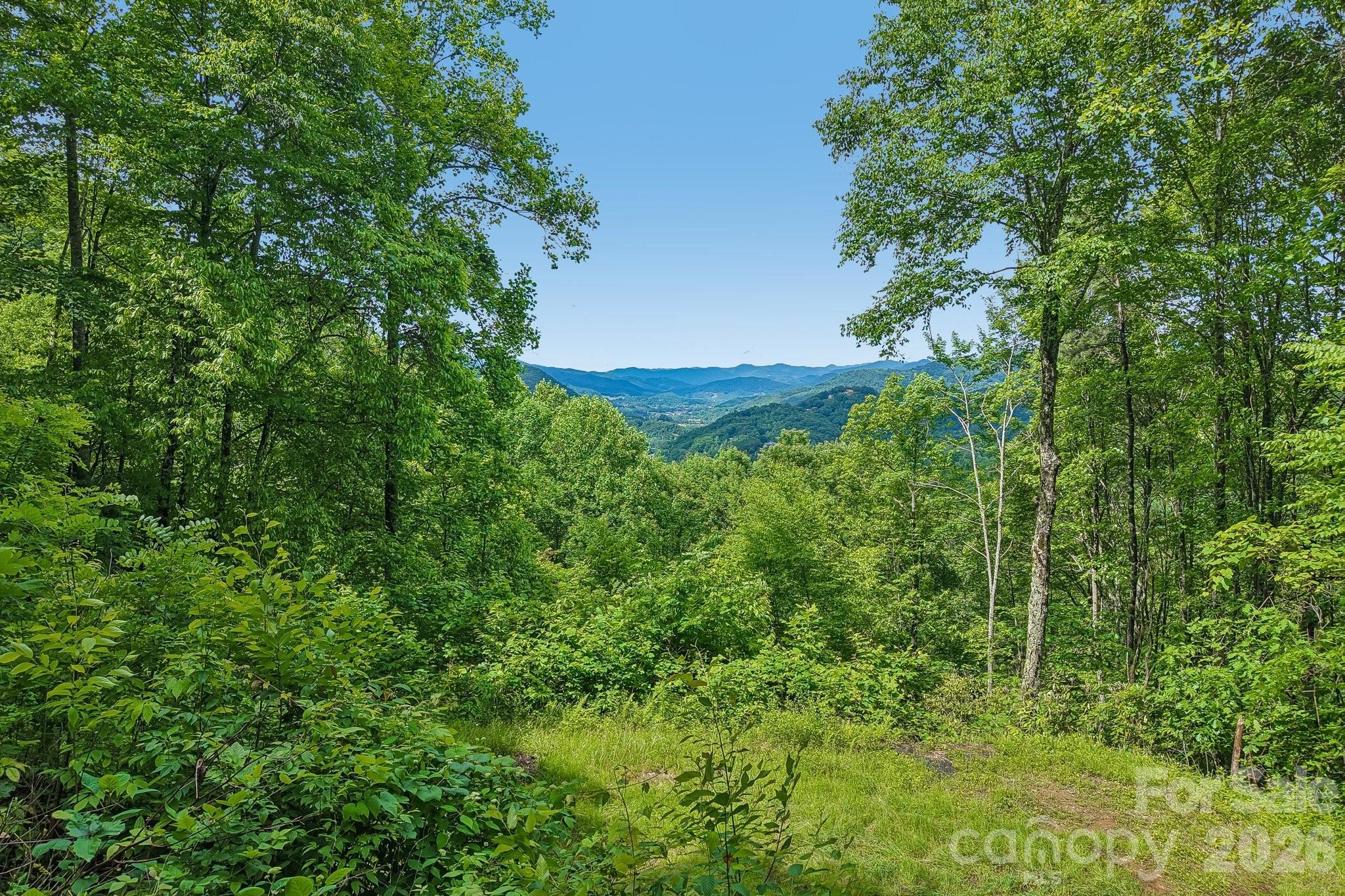 105 Dotsu Trail Maggie Valley NC 28751