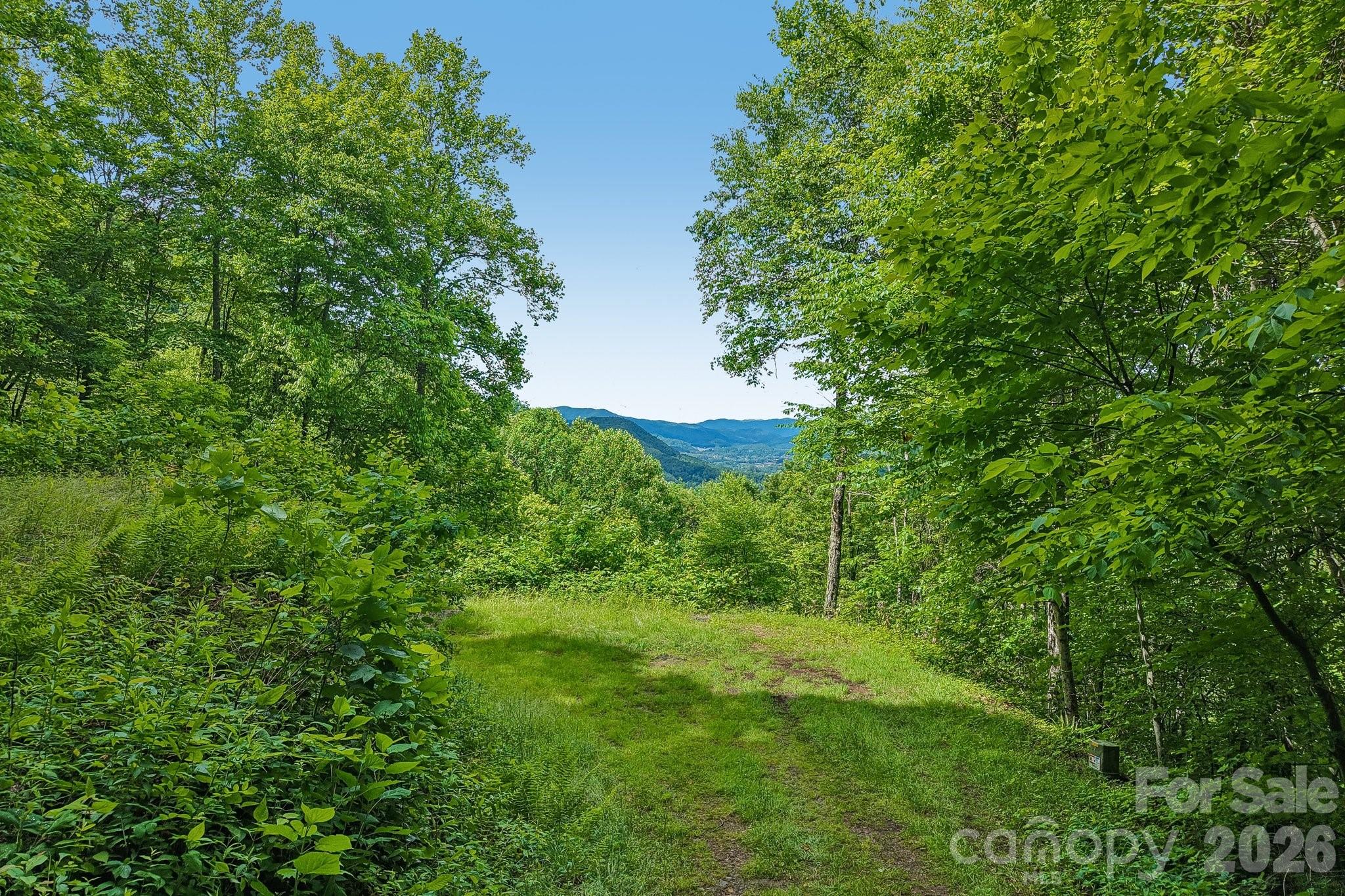 105 Dotsu Trail Maggie Valley NC 28751