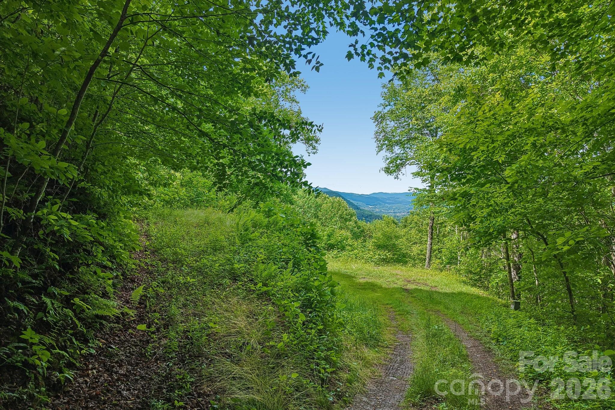 105 Dotsu Trail Maggie Valley NC 28751