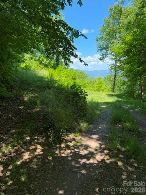 105 Dotsu Trail Maggie Valley NC 28751