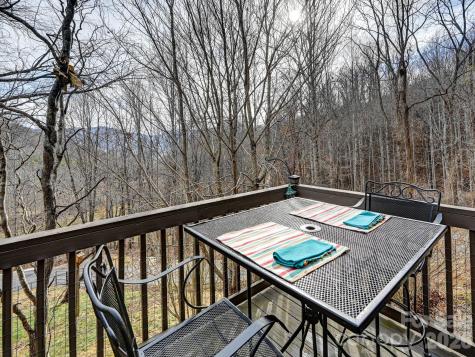 90 Davidson Gap Road Leicester NC 28748