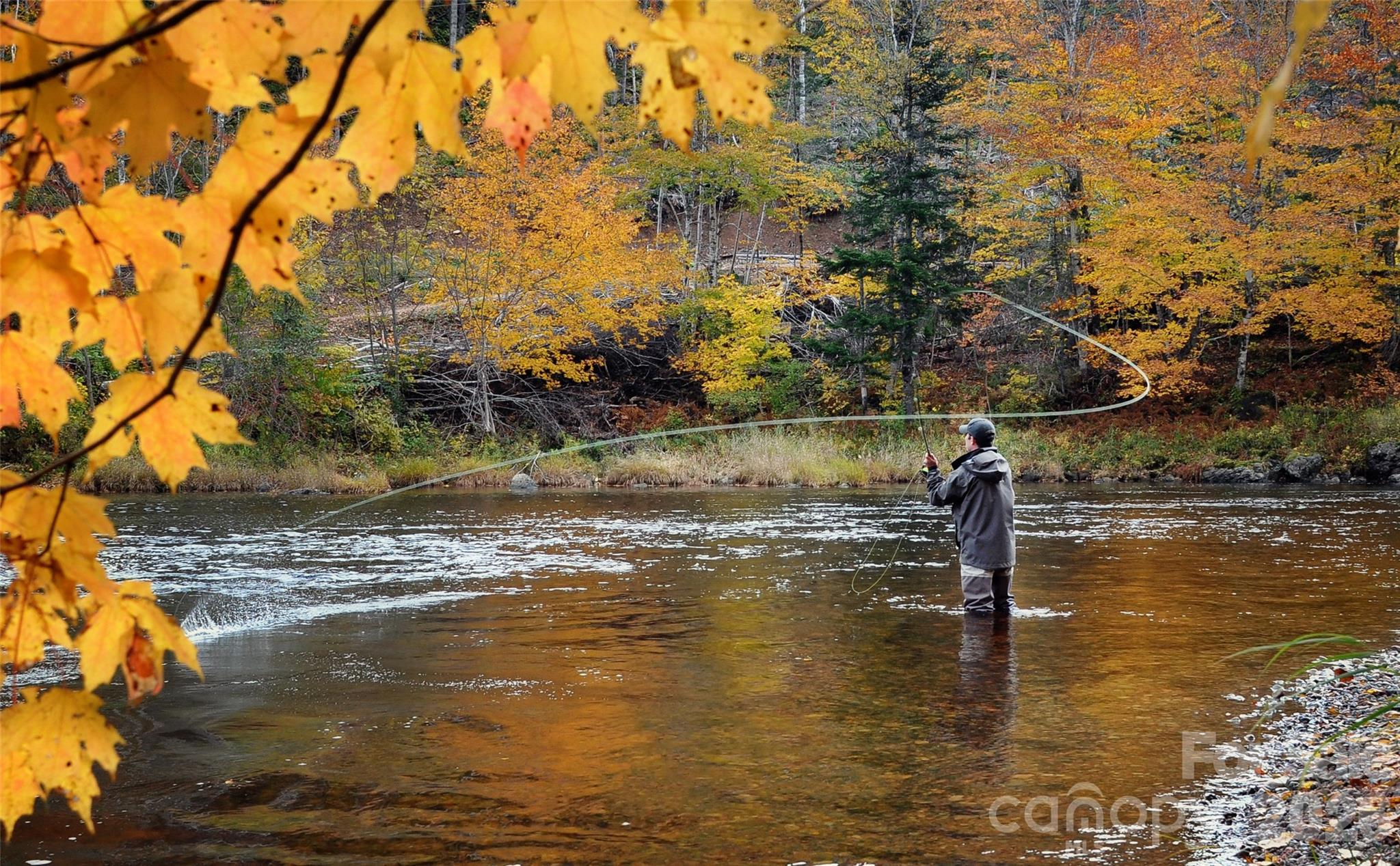 1644 Broadstone Road Banner Elk NC 28604