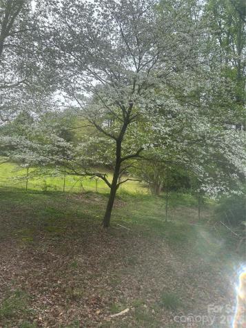 512 Forest Lane Yadkinville NC 27055