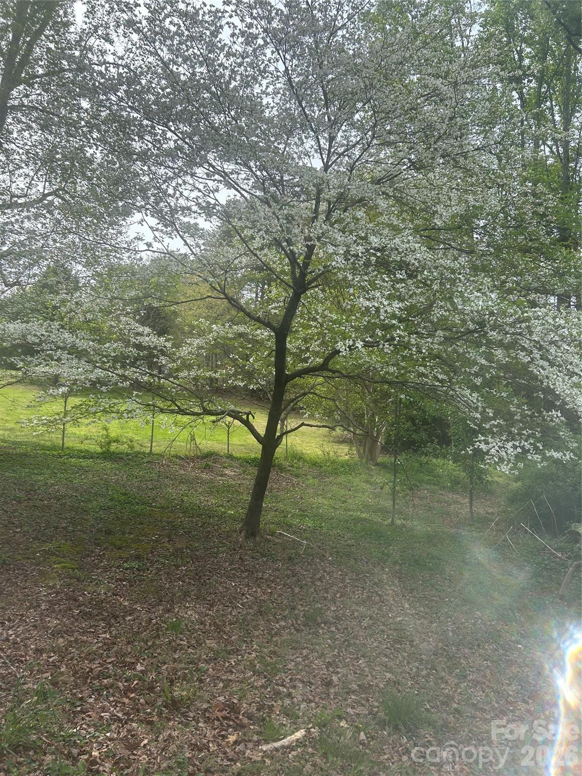 512 Forest Lane Yadkinville NC 27055