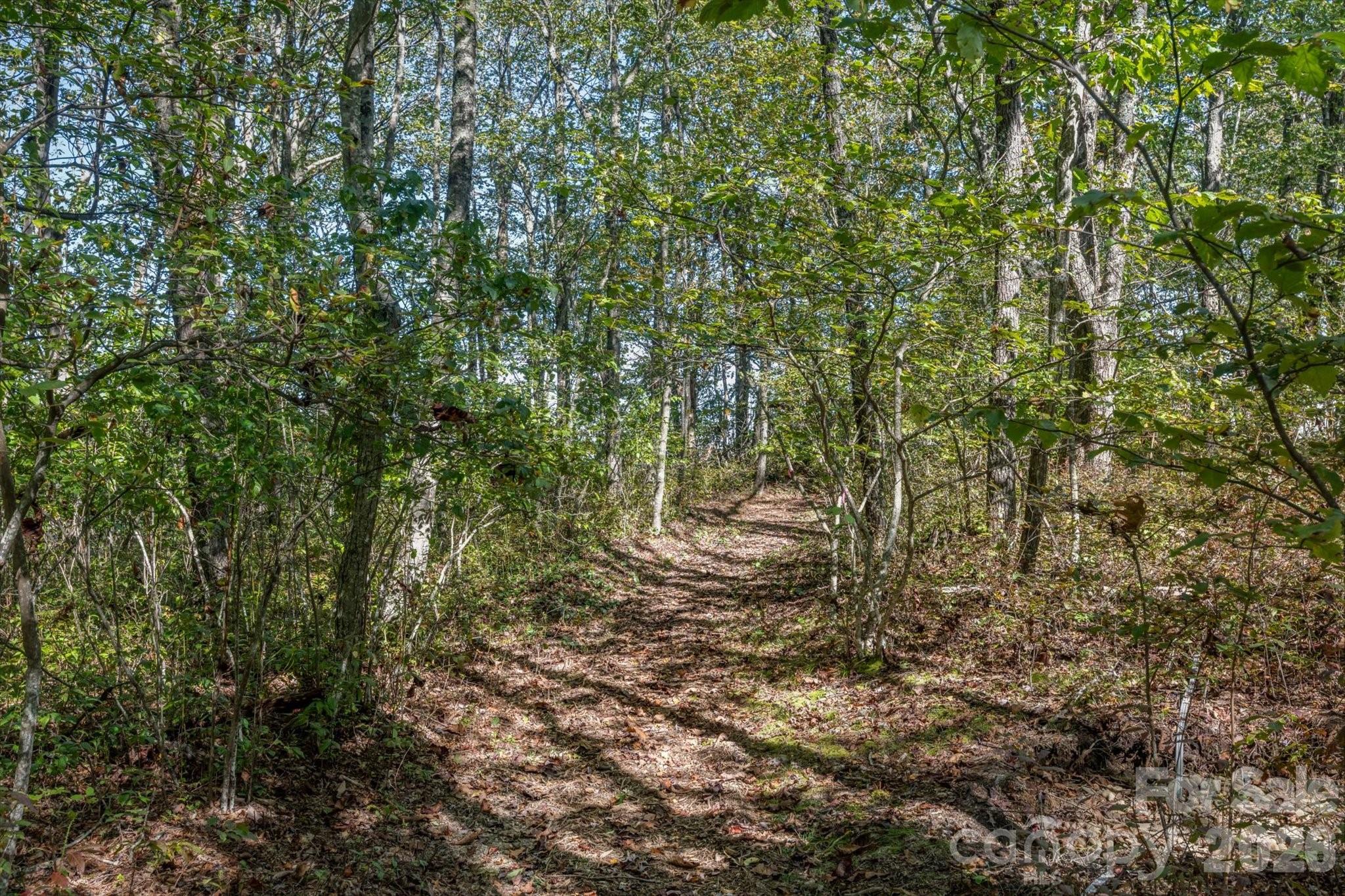 1544 Panthertown Road Lake Toxaway NC 28747