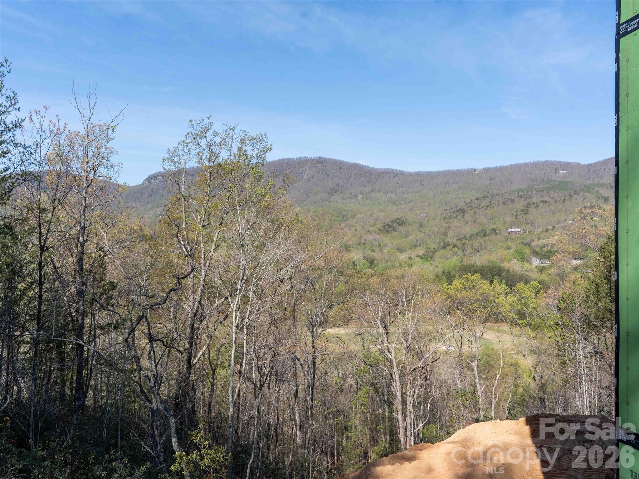 788 E Deep Gap Farm Road Mill Spring NC 28756