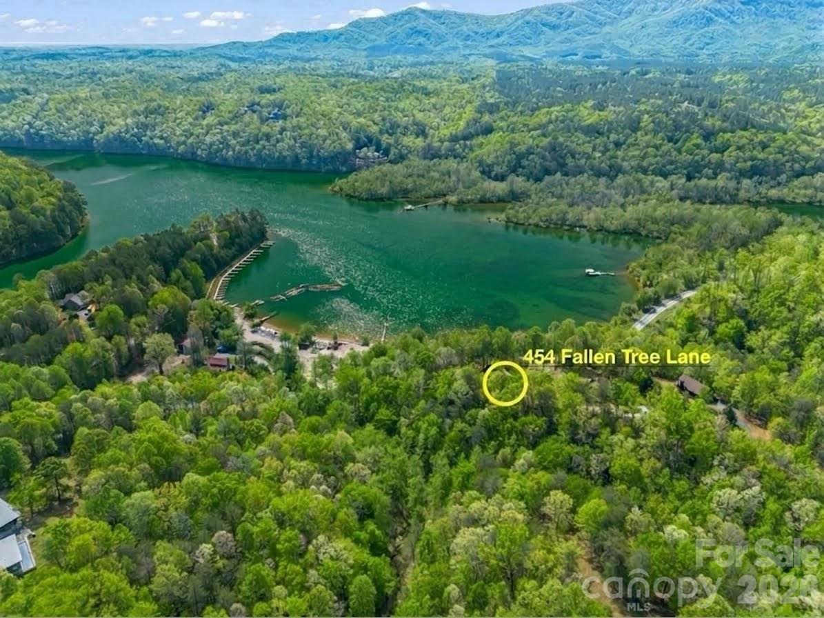 454 Fallen Tree Lane Mill Spring NC 28756