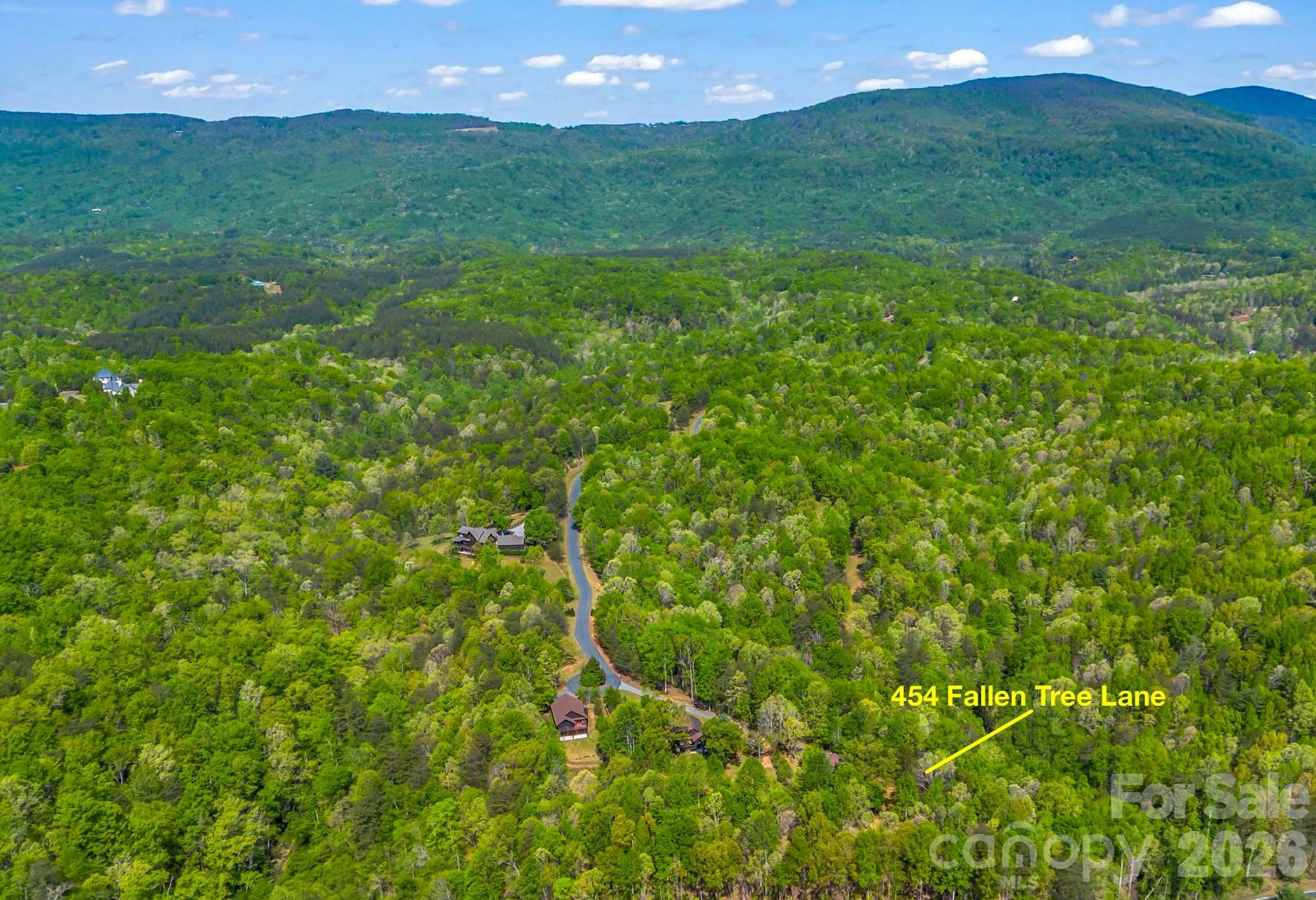 454 Fallen Tree Lane Mill Spring NC 28756