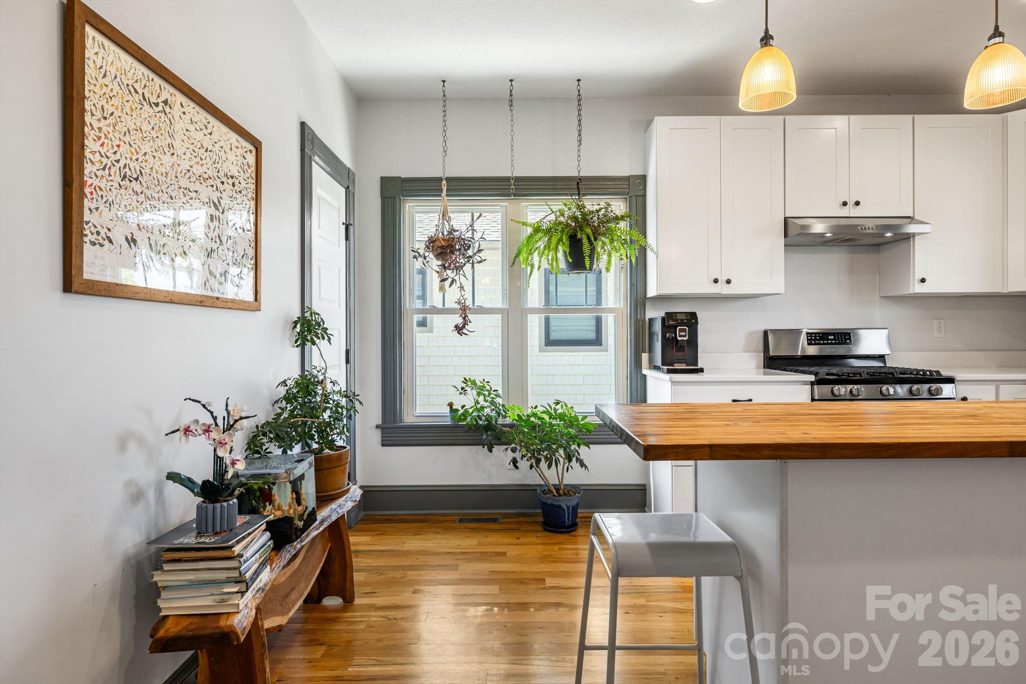17 Ora Street Asheville NC 28801