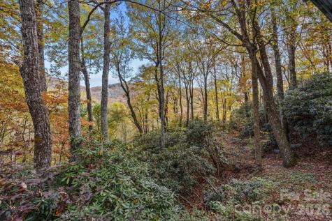 63 Chestnut Forest Road Fairview NC 28730