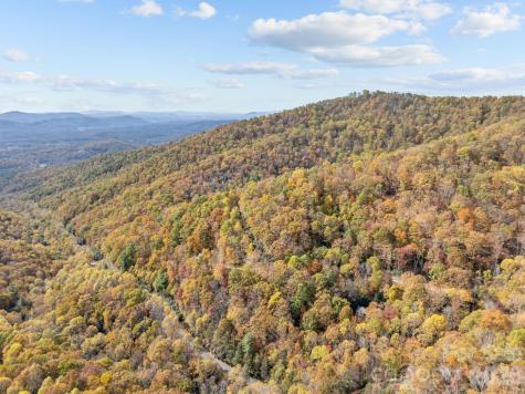 63 Chestnut Forest Road Fairview NC 28730