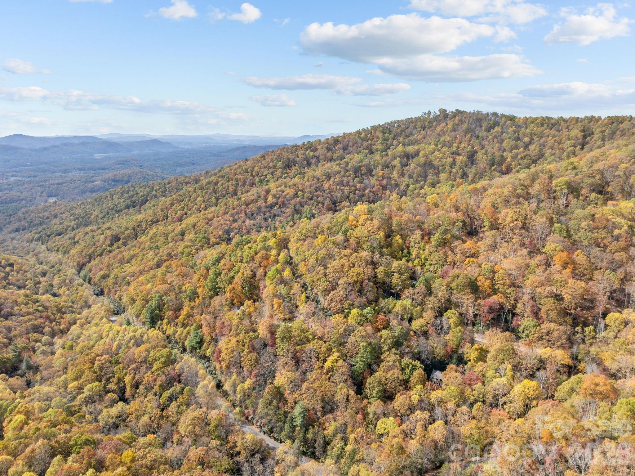 63 Chestnut Forest Road Fairview NC 28730