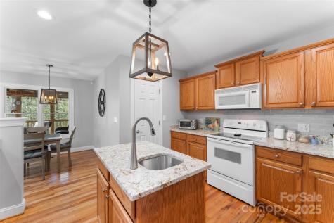 226 Ogana Court Brevard NC 28712