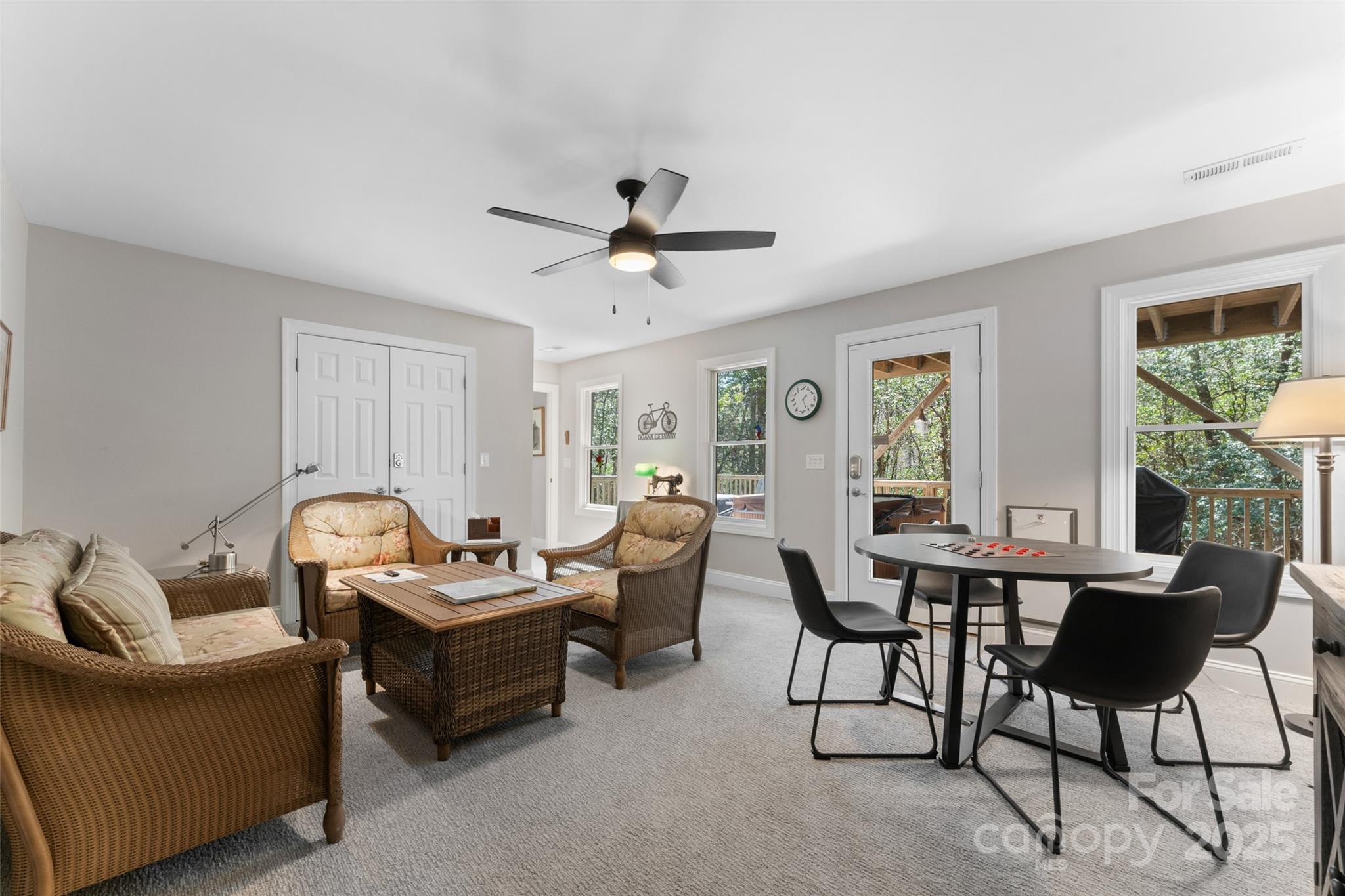 226 Ogana Court Brevard NC 28712