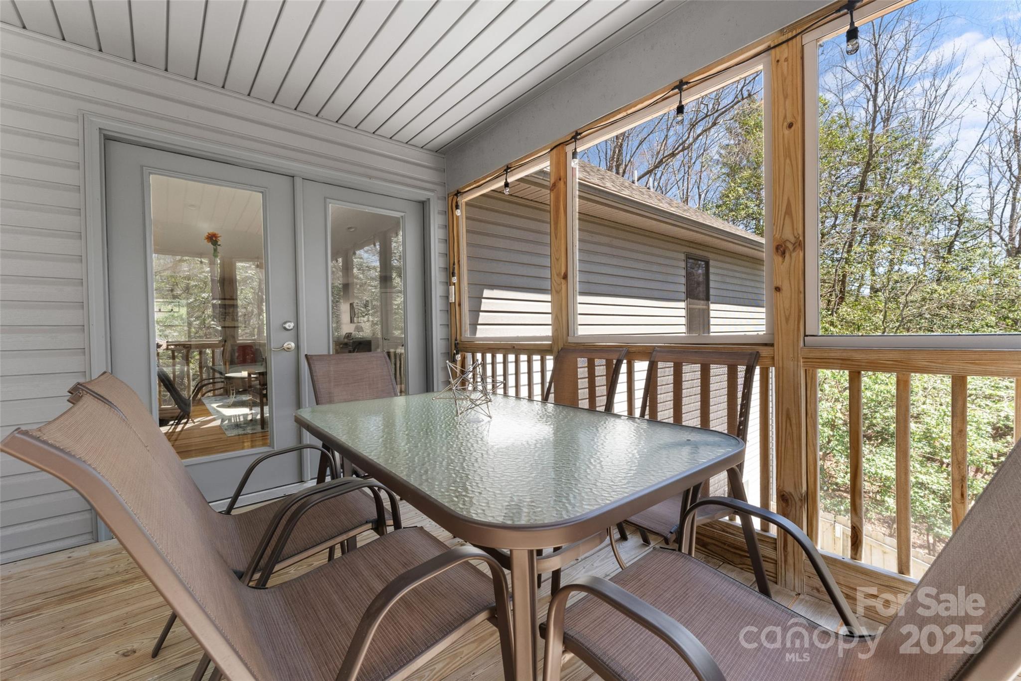 226 Ogana Court Brevard NC 28712