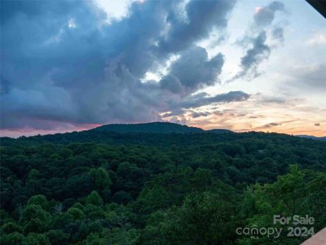 81 Rough Bark Road Sapphire NC 28774