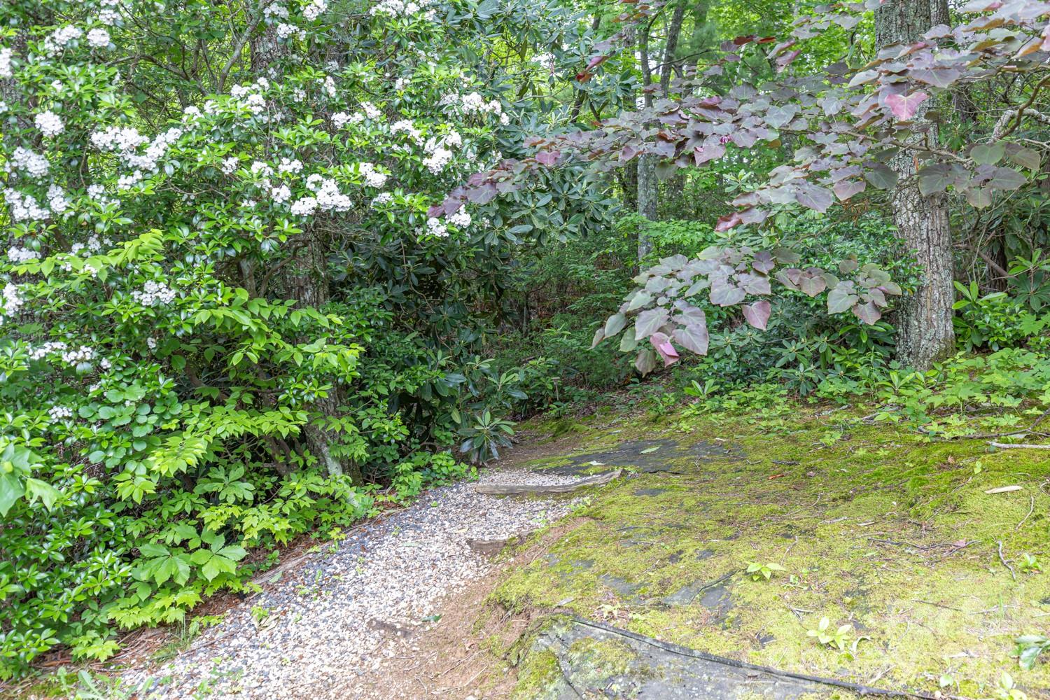 6 Grouse Terrace Fairview NC 28730