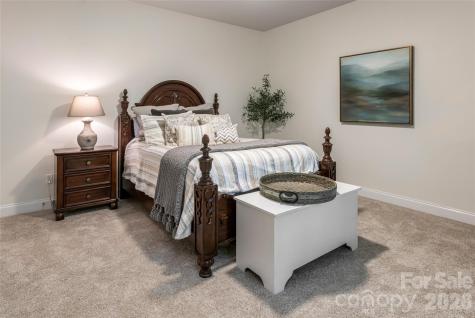 22 Rosebay Lane Asheville NC 28803