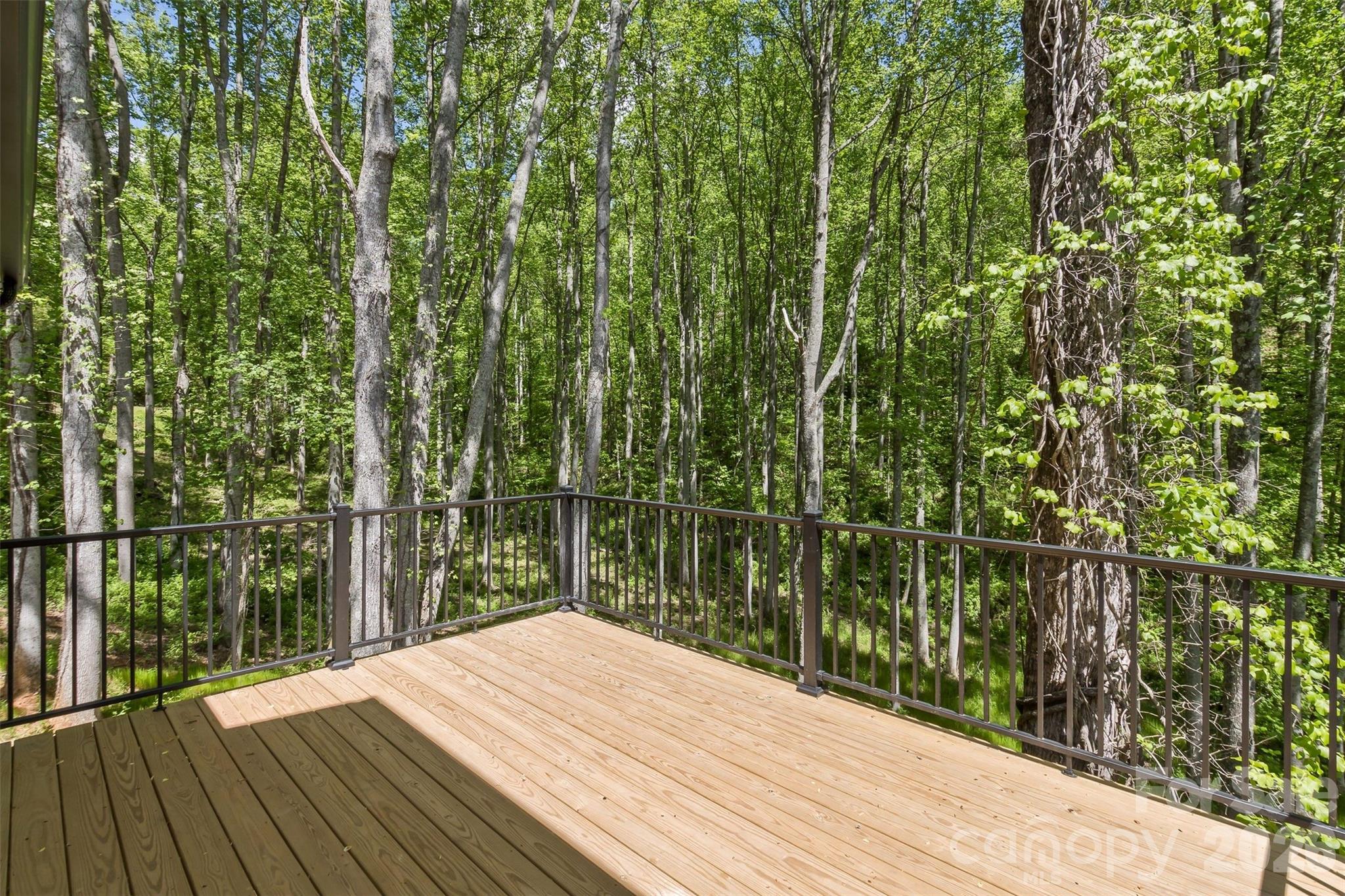 61 Bamboo Trail Candler NC 28715