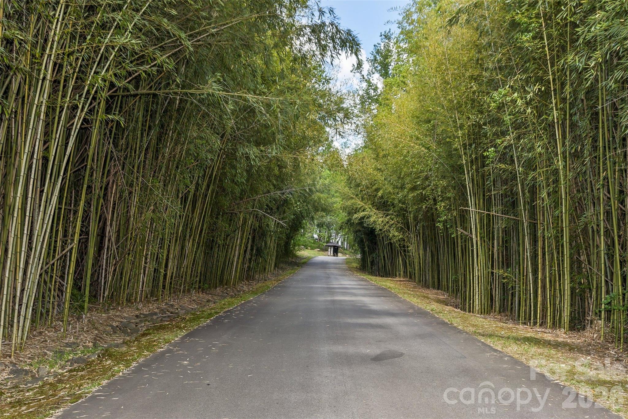 61 Bamboo Trail Candler NC 28715