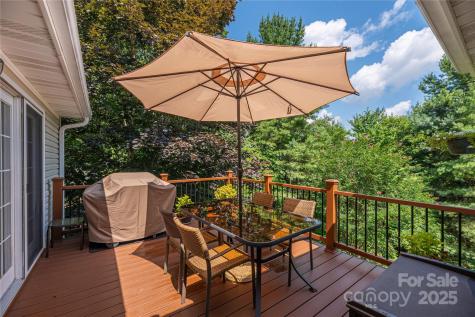 24 Moriah Lane Asheville NC 28803
