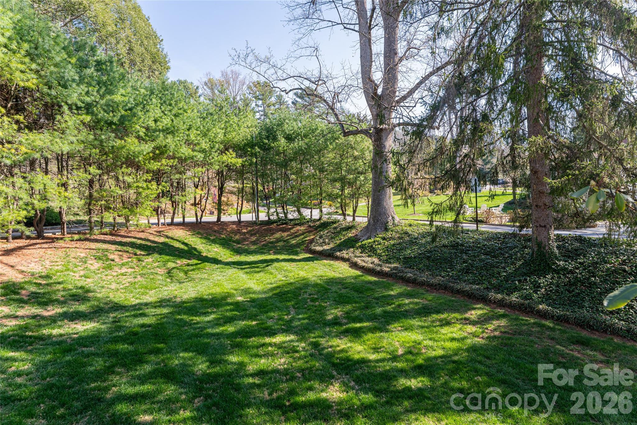 25 Blackwood Road Asheville NC 28804