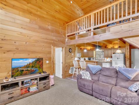 30 Edgewater Lane Maggie Valley NC 28751