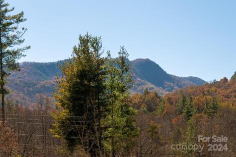 10 Keats Road Black Mountain NC 28711