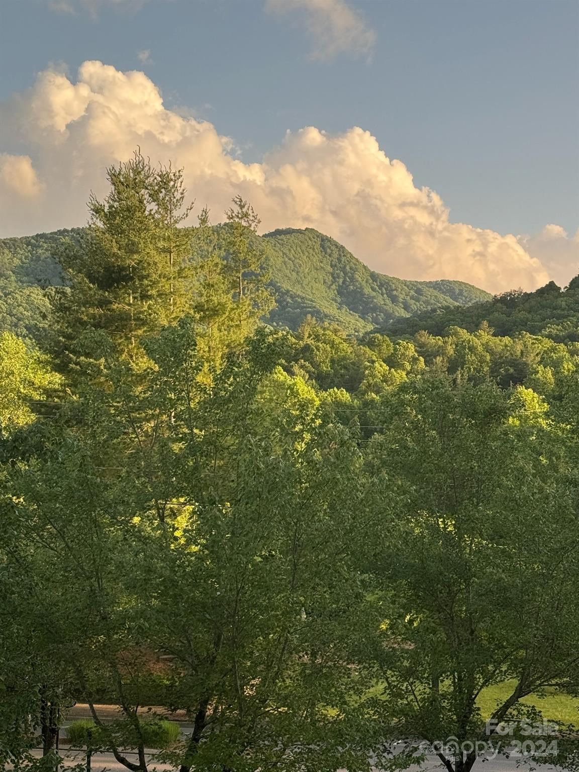 10 Keats Road Black Mountain NC 28711