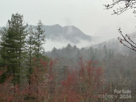 10 Keats Road Black Mountain NC 28711