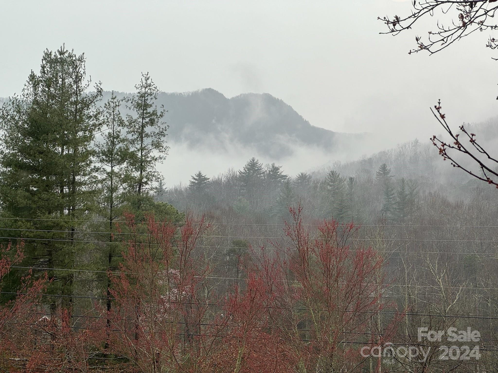 10 Keats Road Black Mountain NC 28711