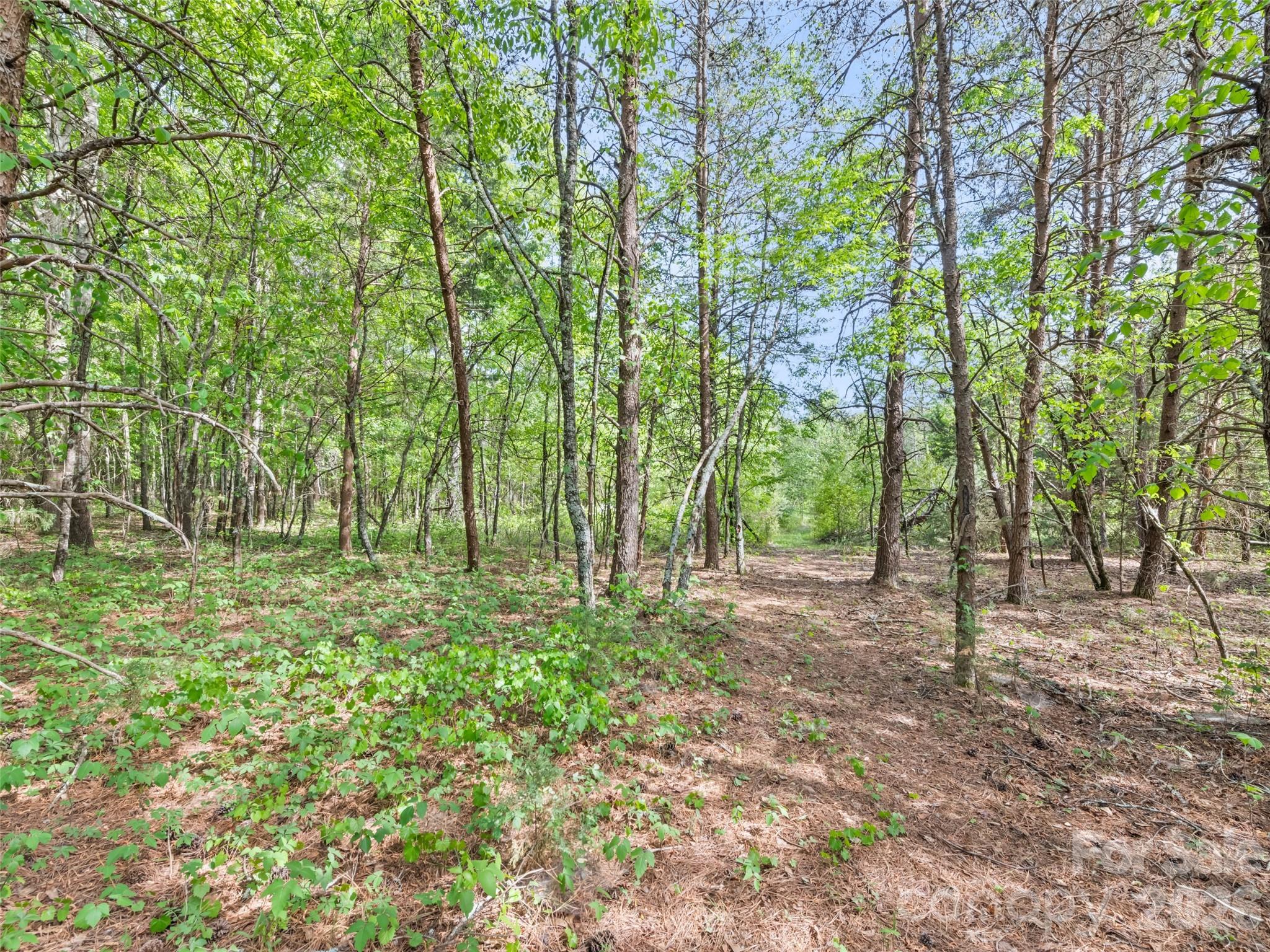 311 Soco Gap Road Ellenboro NC 28040