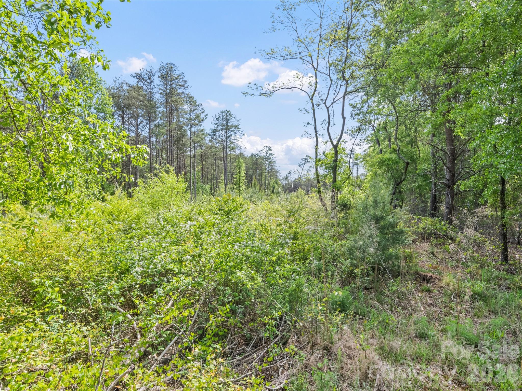 311 Soco Gap Road Ellenboro NC 28040