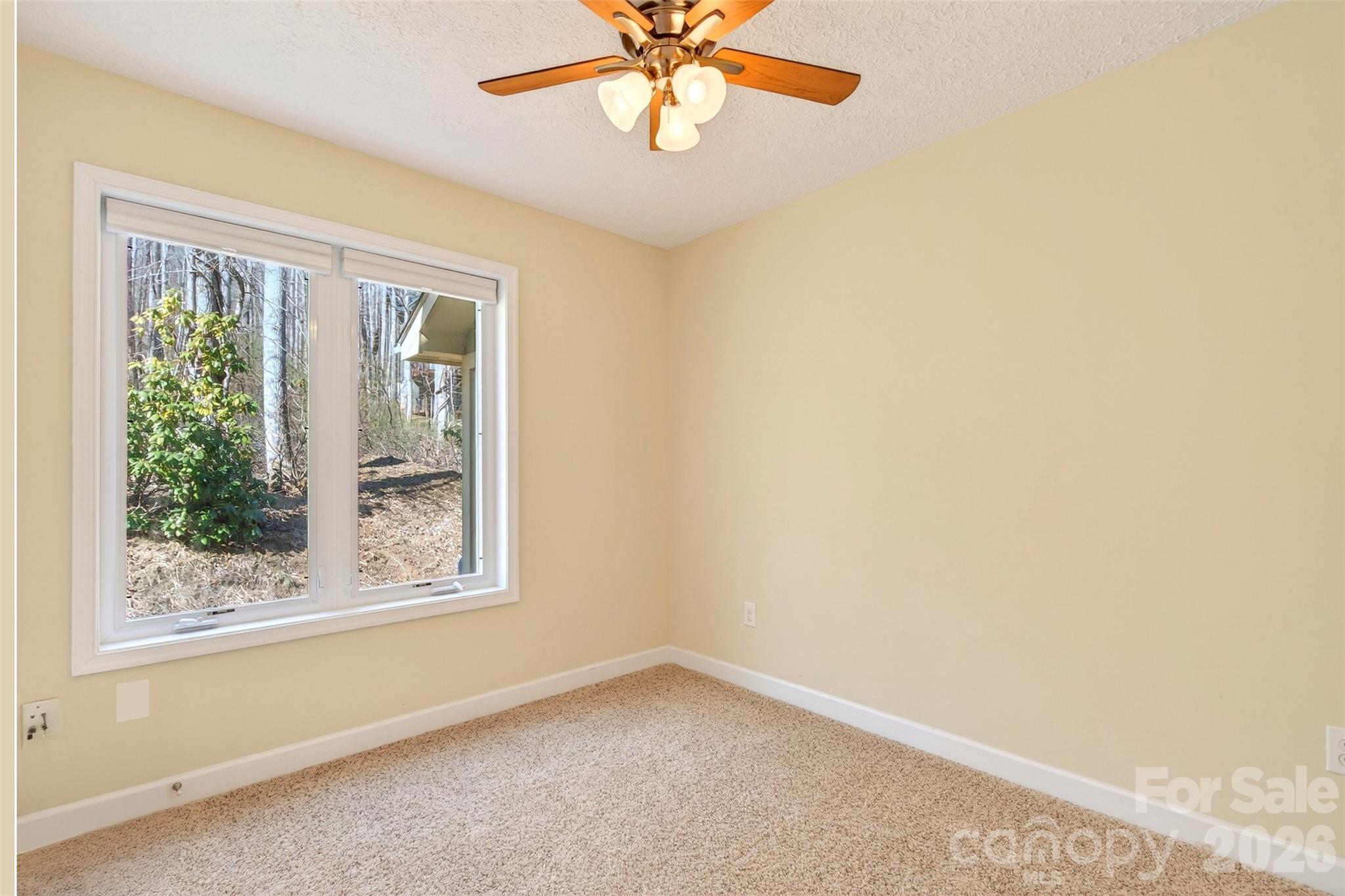 741 Blue Ridge Drive N Marion NC 28752