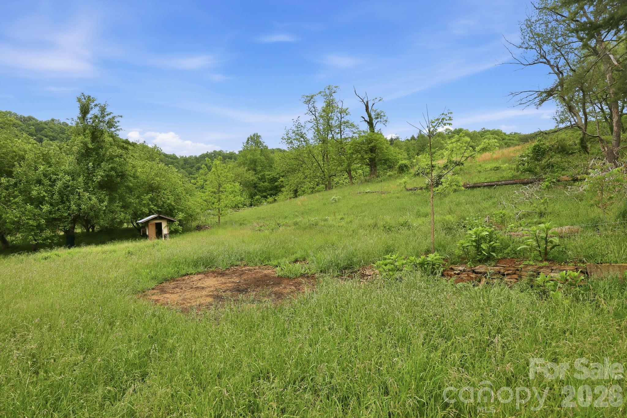 250 Potato Branch Road Leicester NC 28748