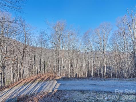 171 Sharons Bluff Franklin NC 28734