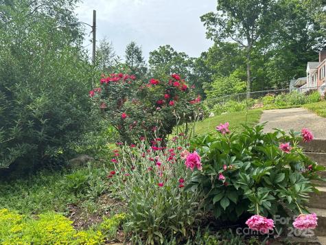 12 Canterbury Road Asheville NC 28805