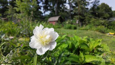 12 Canterbury Road Asheville NC 28805