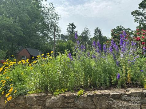 12 Canterbury Road Asheville NC 28805