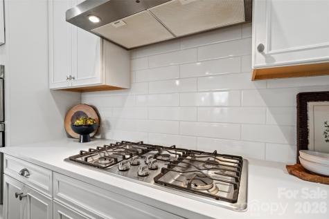 4211 Maggie Springs Way Clover SC 29710
