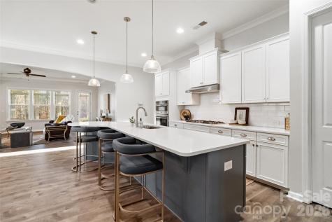 4211 Maggie Springs Way Clover SC 29710