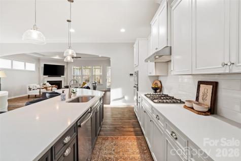 4211 Maggie Springs Way Clover SC 29710