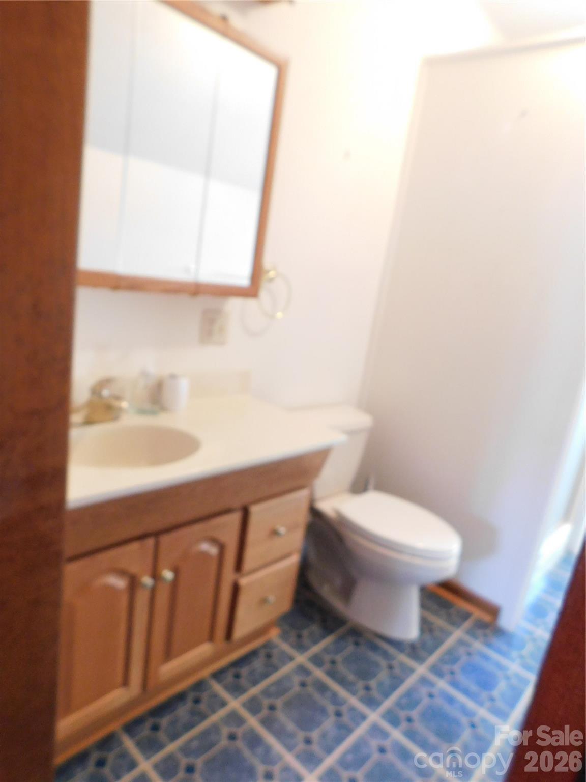 175 Briarfield Drive Mooresville NC 28115