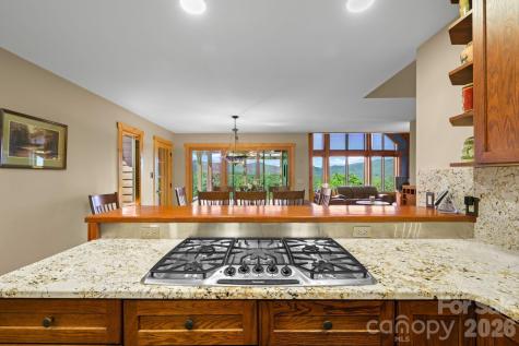 167 Wild Orchid Trail Bryson City NC 28713