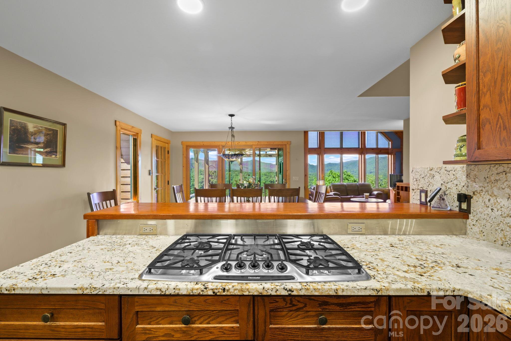 167 Wild Orchid Trail Bryson City NC 28713