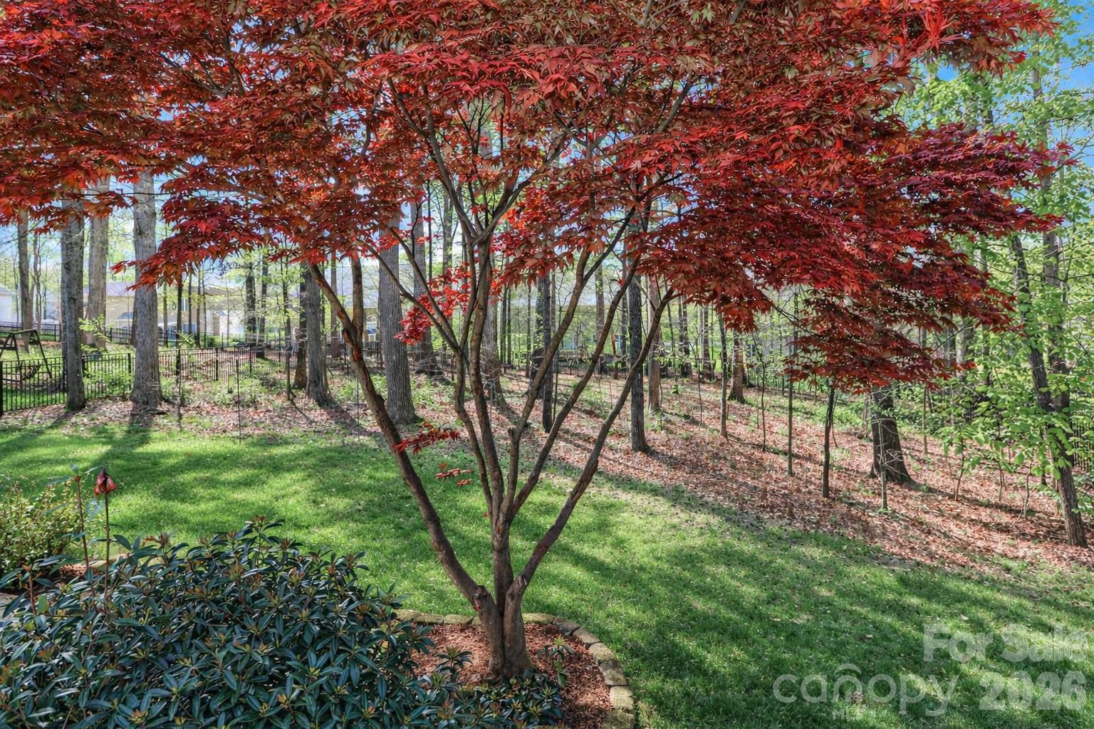 158 Forest Walk Way Mooresville NC 28115