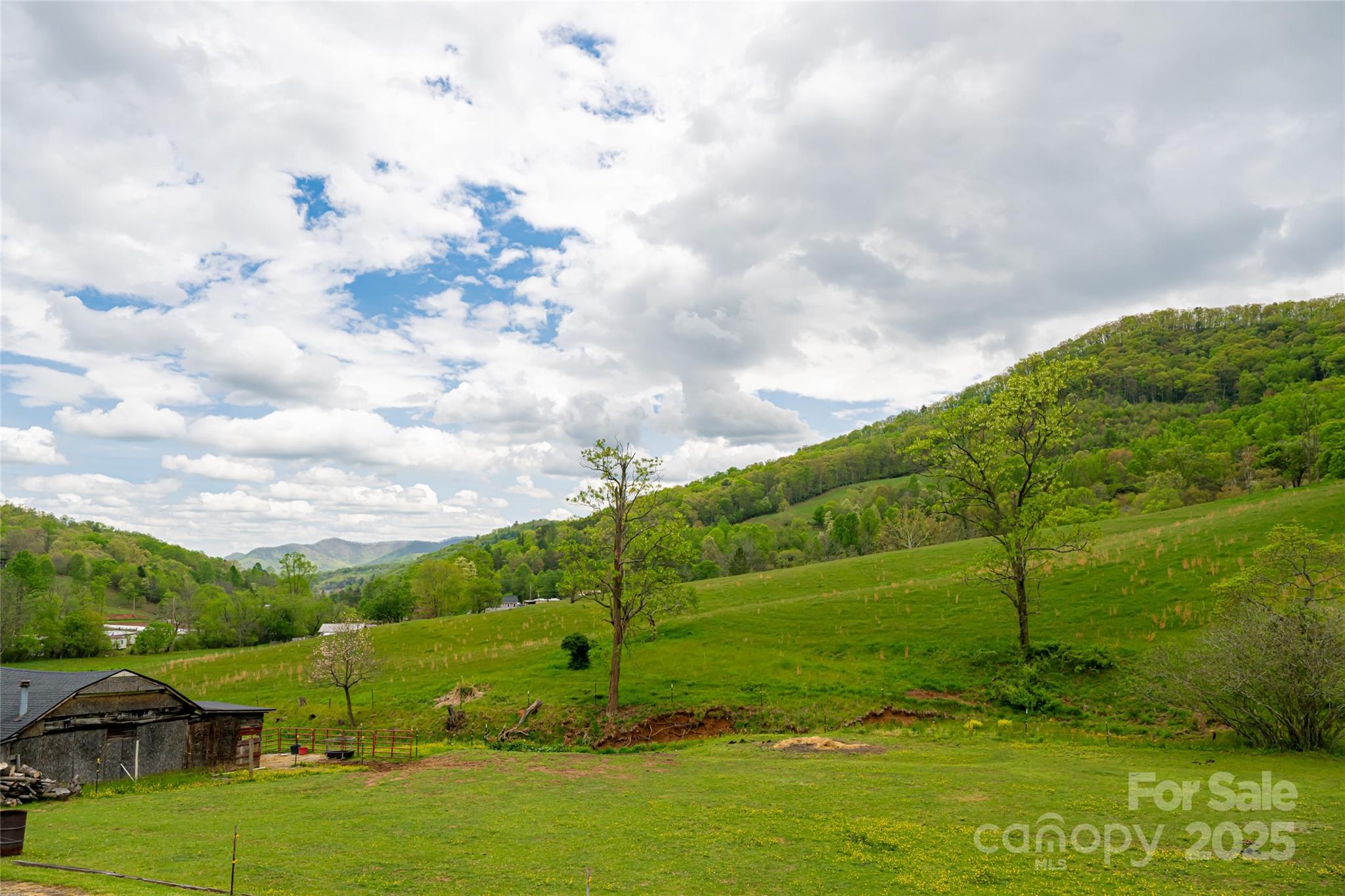 281 Curtis Creek Road Candler NC 28715