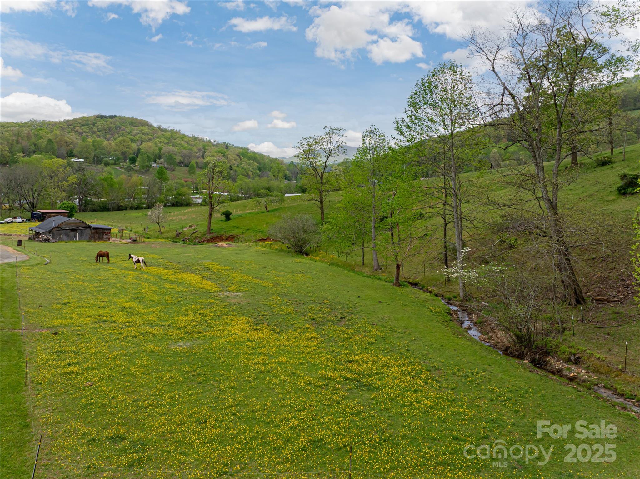 281 Curtis Creek Road Candler NC 28715