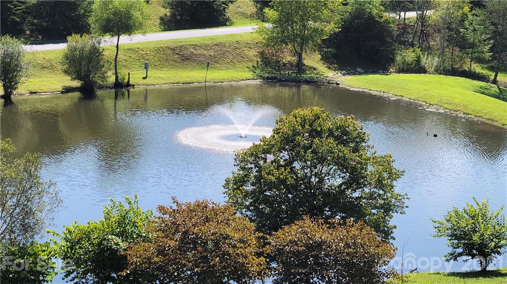 6 Loridon Drive Weaverville NC 28787
